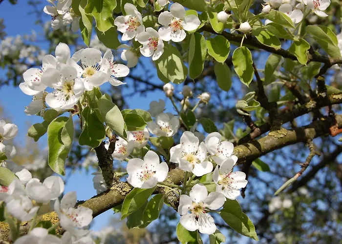 Landgasthaus Hoffmann 3* Kruchten